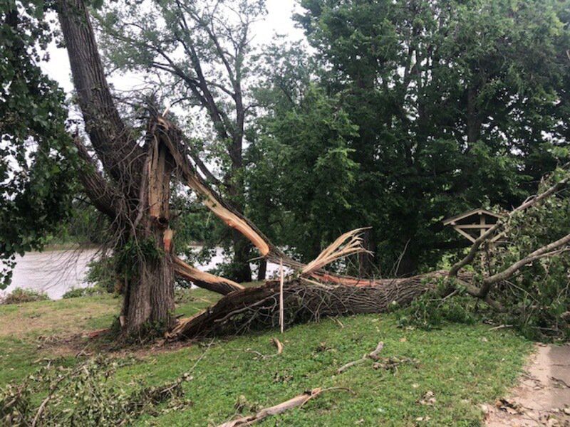 Cleanup efforts continue after Saturday storms